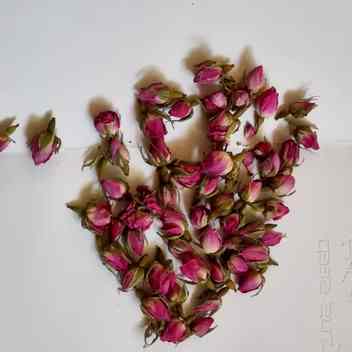 خرید عمده غنچه خشک گل محمدی صادراتی کاشان با شرکت فولاد گل